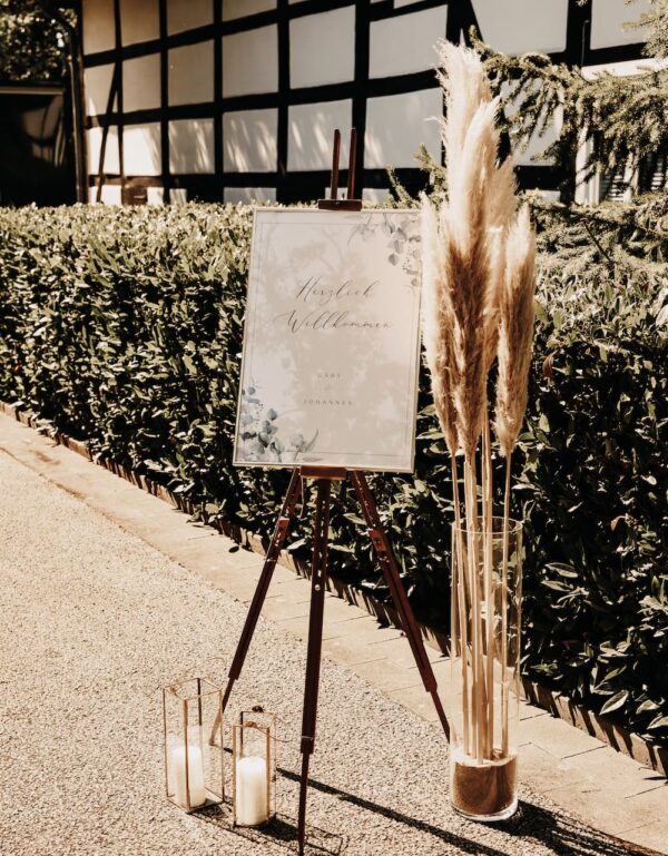 Pampasgras Peanut – Bild 4